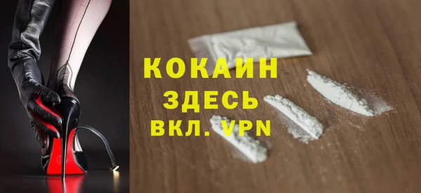 шишки Алексин