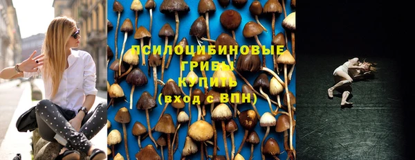 прущие крисы Алзамай