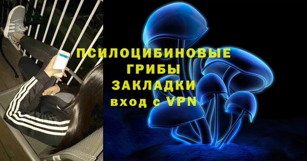 шишки Алексин