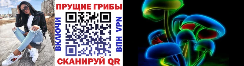 где можно купить наркотик  Оса  Галлюциногенные грибы Cubensis 