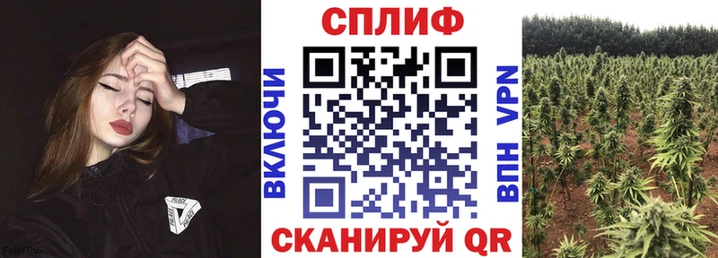 darknet Telegram  купить наркотики сайты  Оса  Бошки Шишки индика  ОМГ ОМГ зеркало 
